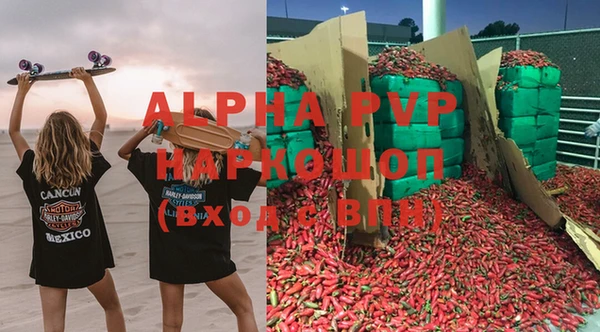 прущие грибы Козельск