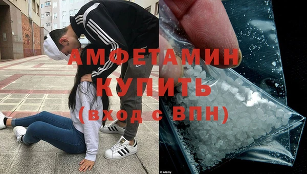 ГАЛЛЮЦИНОГЕННЫЕ ГРИБЫ Козловка