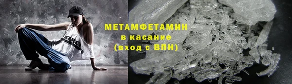 прущие грибы Козельск