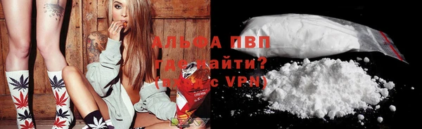 ГАЛЛЮЦИНОГЕННЫЕ ГРИБЫ Козловка