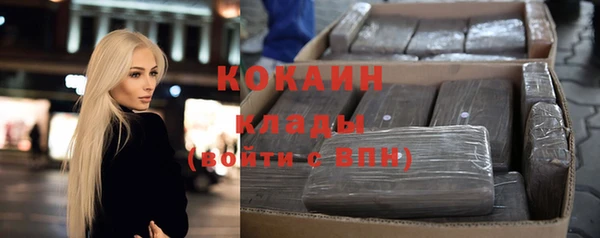 прущие грибы Козельск