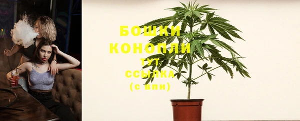 прущие грибы Козельск