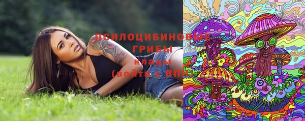 прущие грибы Козельск