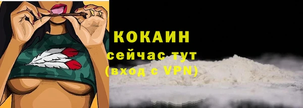прущие грибы Козельск