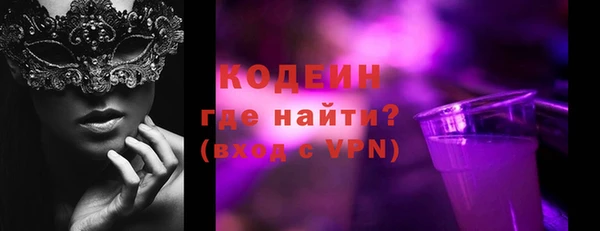 ГАЛЛЮЦИНОГЕННЫЕ ГРИБЫ Козловка