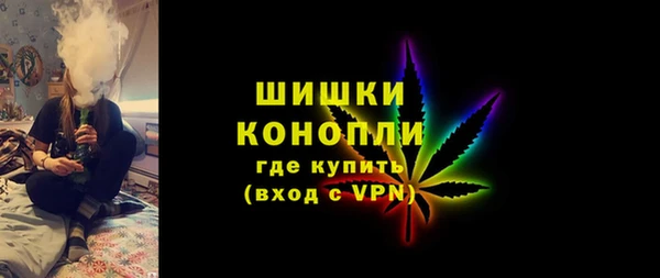 ГАЛЛЮЦИНОГЕННЫЕ ГРИБЫ Козловка