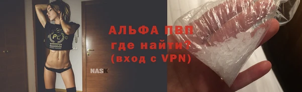 прущие грибы Козельск