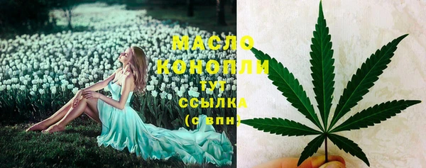ГАЛЛЮЦИНОГЕННЫЕ ГРИБЫ Козловка