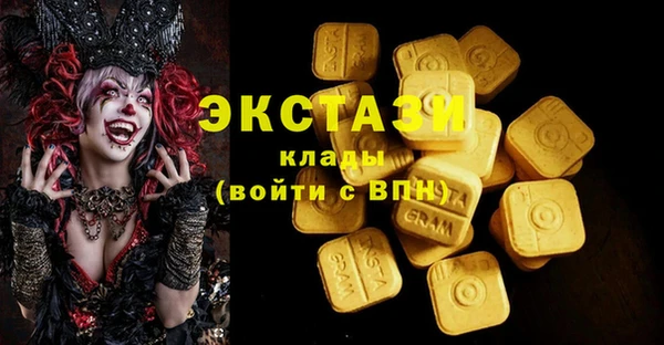 ГАЛЛЮЦИНОГЕННЫЕ ГРИБЫ Козловка