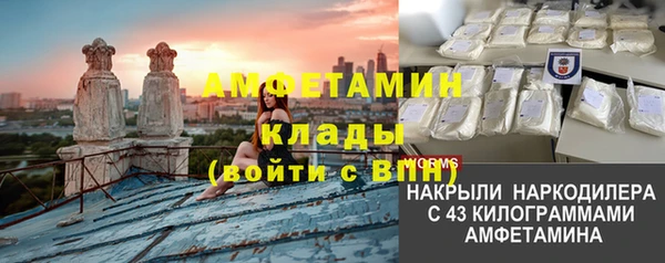 прущие грибы Козельск