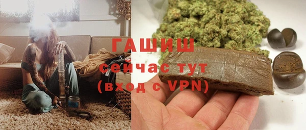 ГАЛЛЮЦИНОГЕННЫЕ ГРИБЫ Козловка